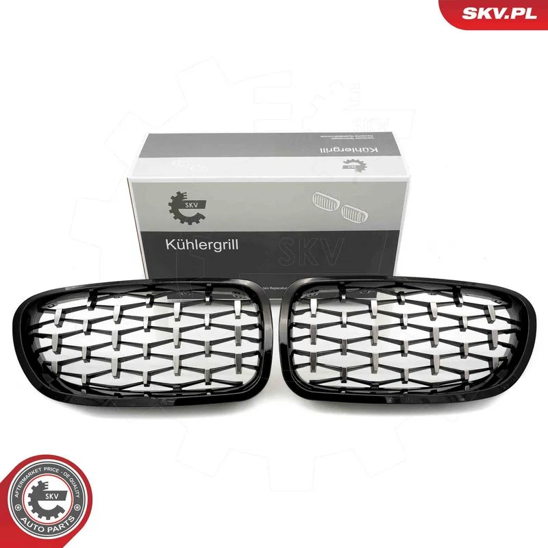 Grelha do radiador ESEN SKV 66SKV191