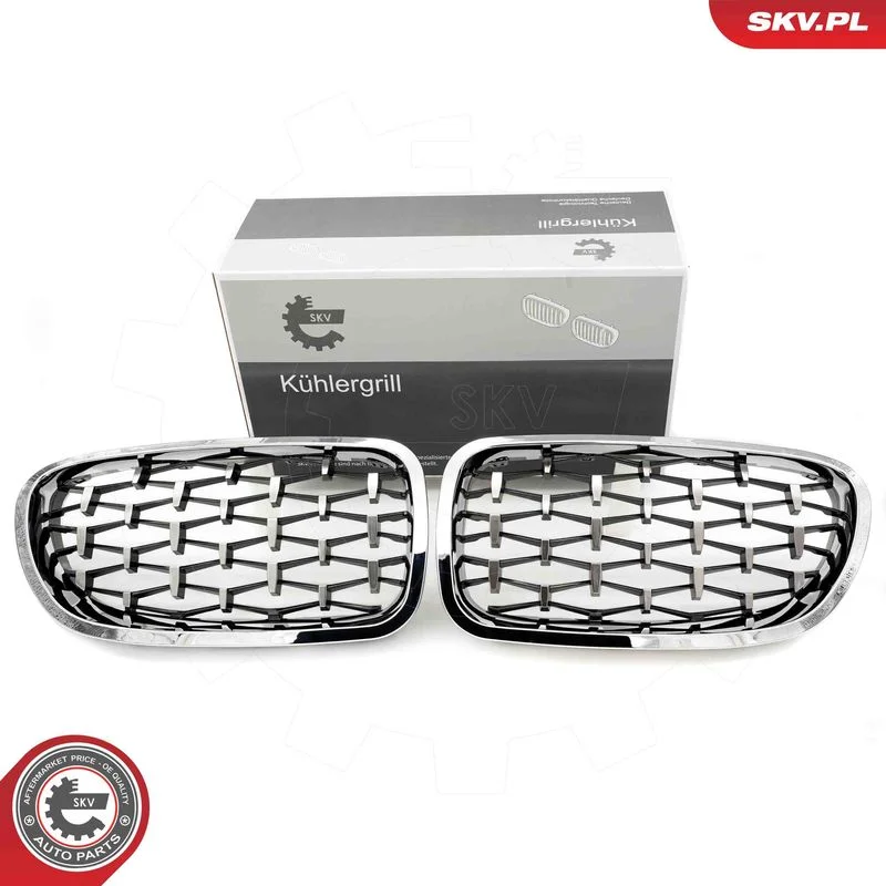 Radiator Grille ESEN SKV 66SKV192