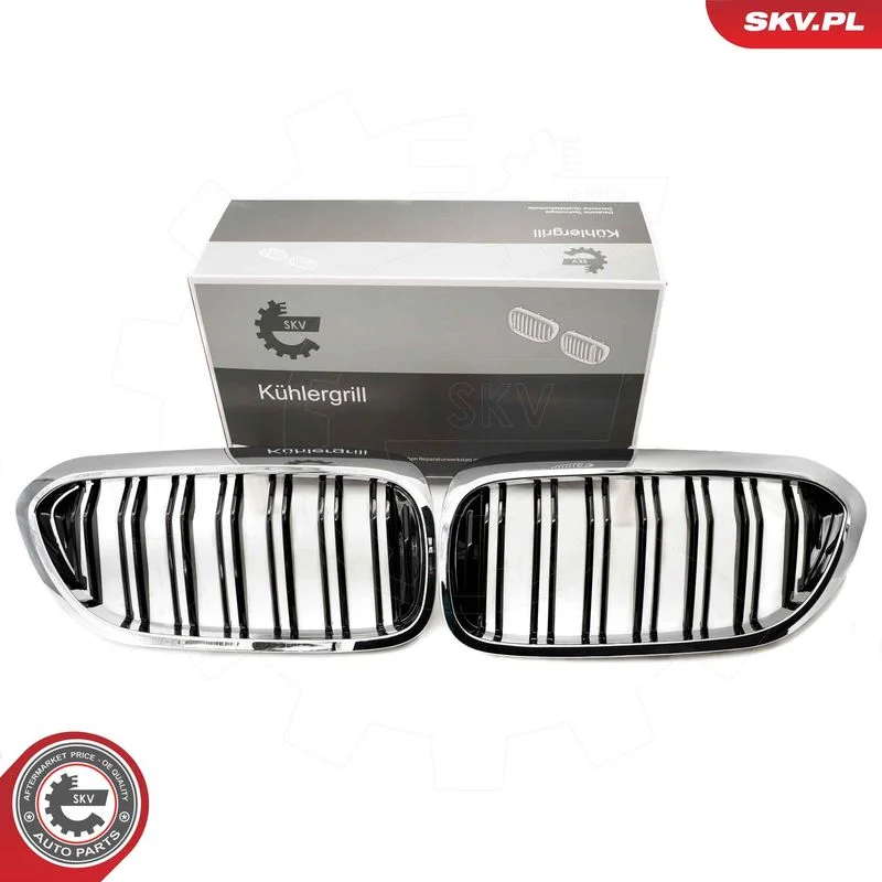 Grelha do radiador ESEN SKV 66SKV196
