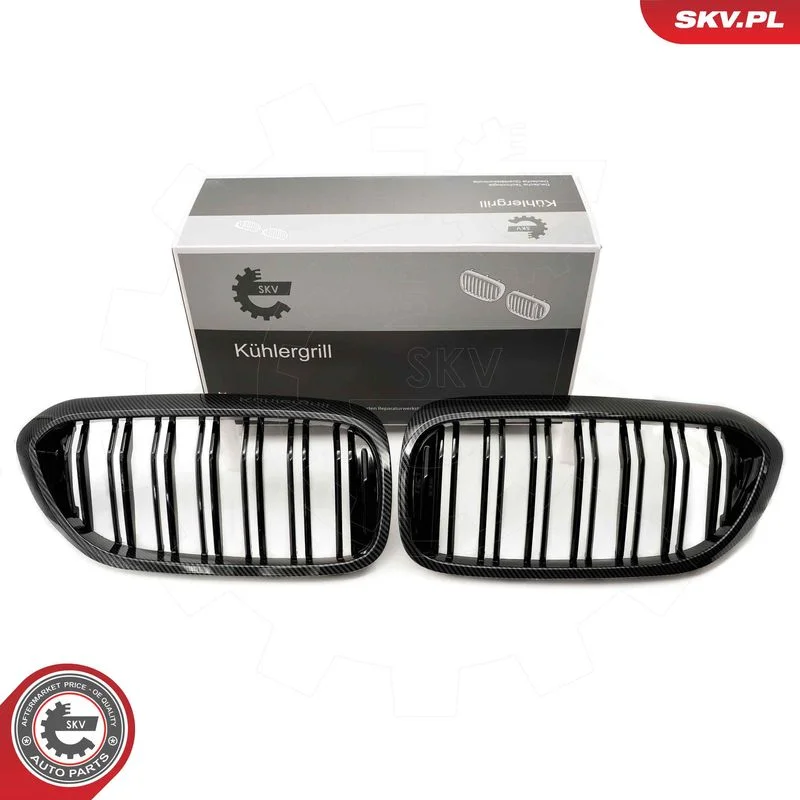 Grelha do radiador ESEN SKV 66SKV197