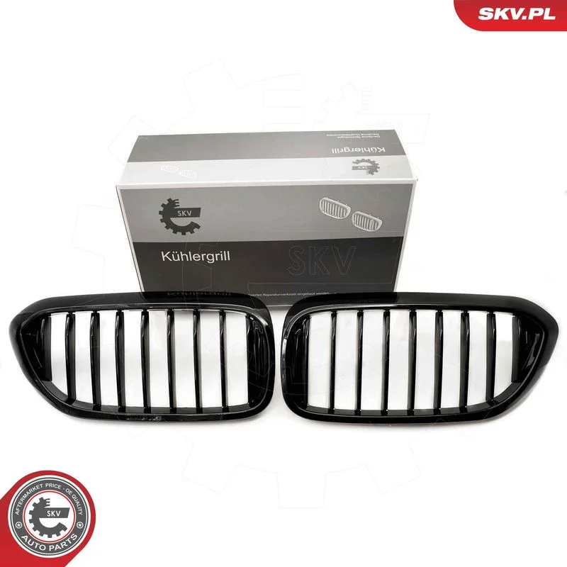 Grelha do radiador ESEN SKV 66SKV198
