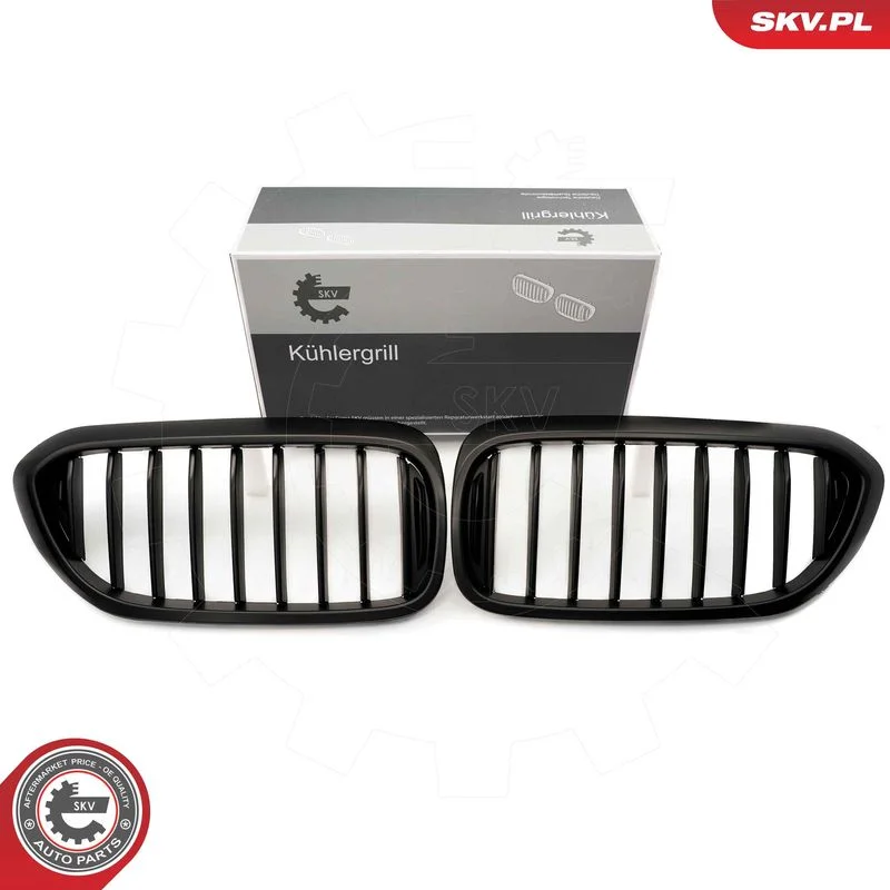 Grelha do radiador ESEN SKV 66SKV199