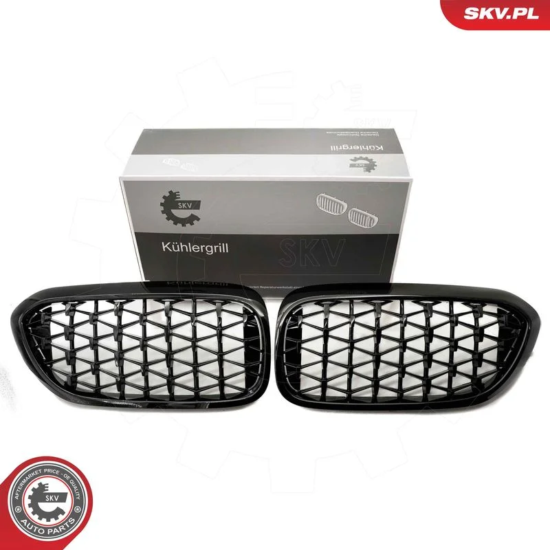 Grelha do radiador ESEN SKV 66SKV200