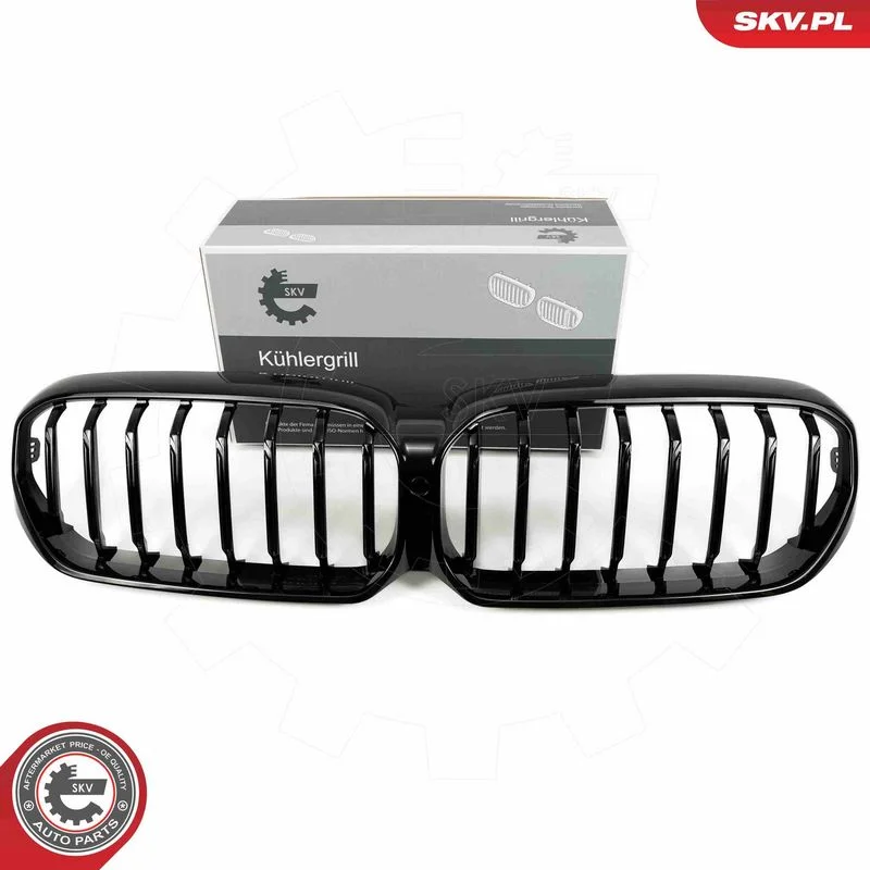 Radiator Grille ESEN SKV 66SKV201
