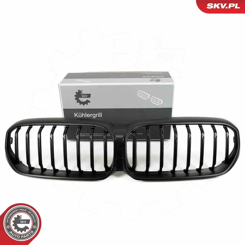 Grelha do radiador ESEN SKV 66SKV202