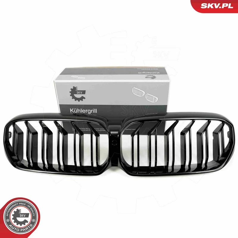 Grelha do radiador ESEN SKV 66SKV203