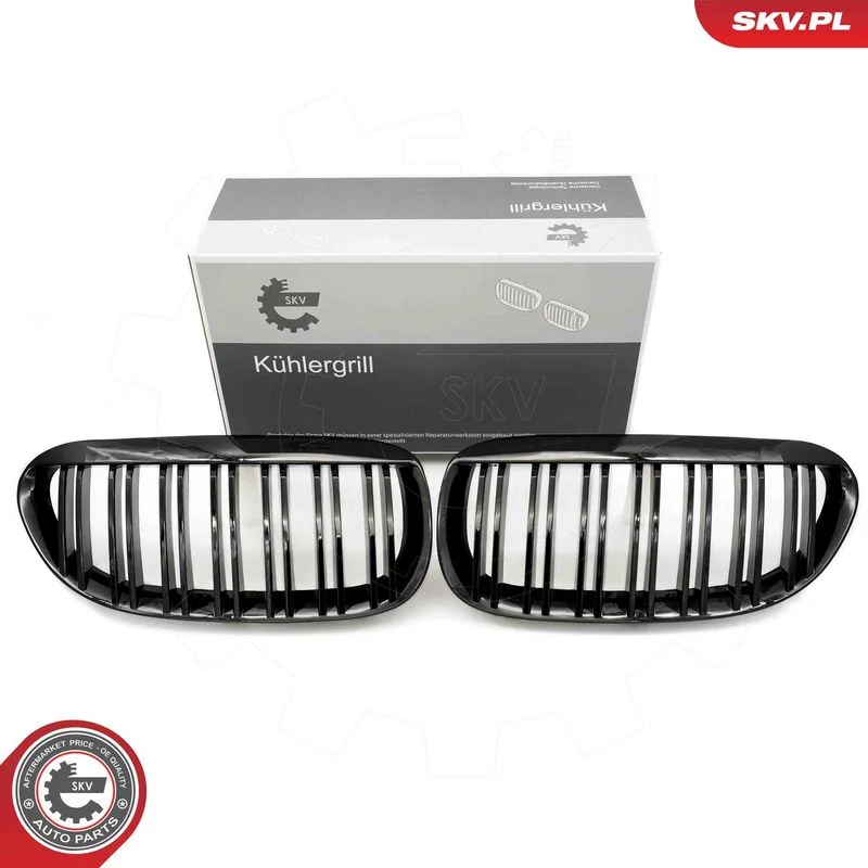 Grelha do radiador ESEN SKV 66SKV205
