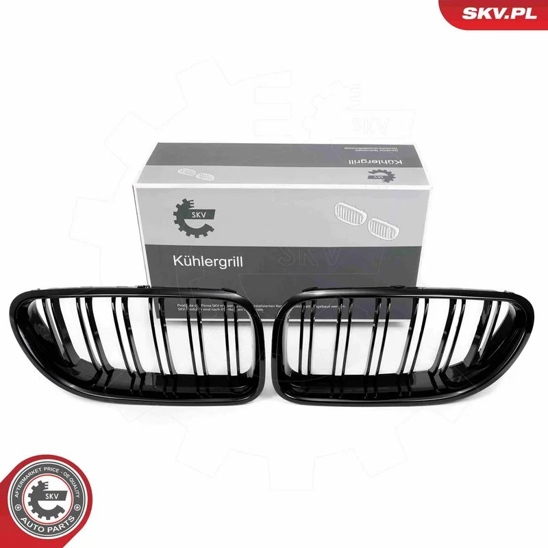 Grelha do radiador ESEN SKV 66SKV206