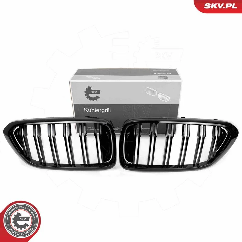 Grelha do radiador ESEN SKV 66SKV210