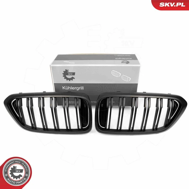 Grelha do radiador ESEN SKV 66SKV211