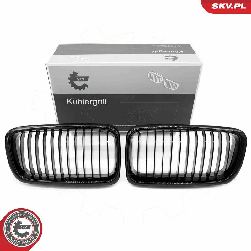 Grelha do radiador ESEN SKV 66SKV212