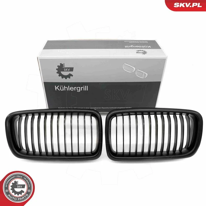 Grelha do radiador ESEN SKV 66SKV213