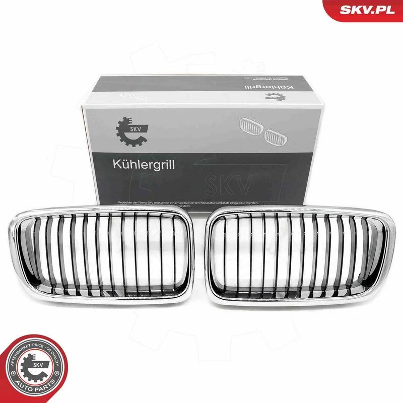 Grelha do radiador ESEN SKV 66SKV214