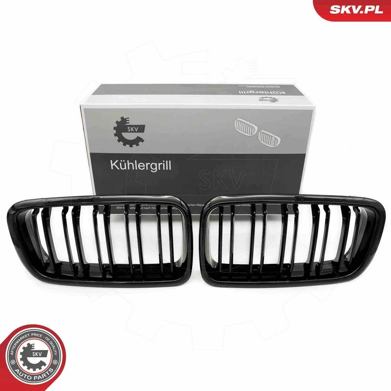 Grelha do radiador ESEN SKV 66SKV216