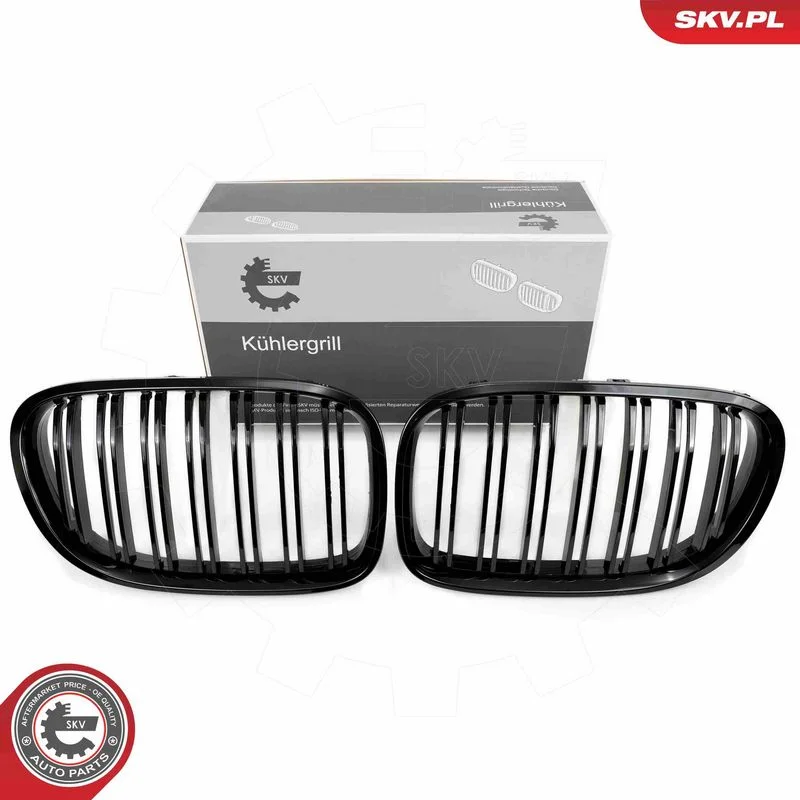 Grelha do radiador ESEN SKV 66SKV219