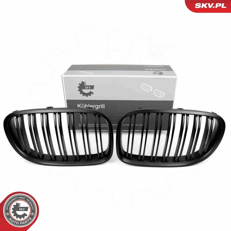 Grelha do radiador ESEN SKV 66SKV220