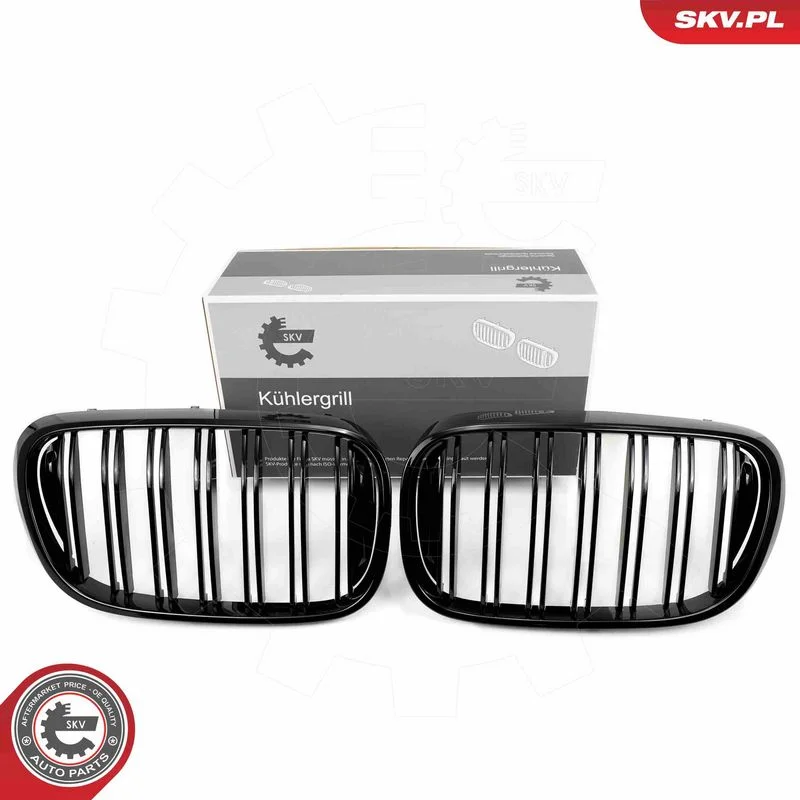 Grelha do radiador ESEN SKV 66SKV223