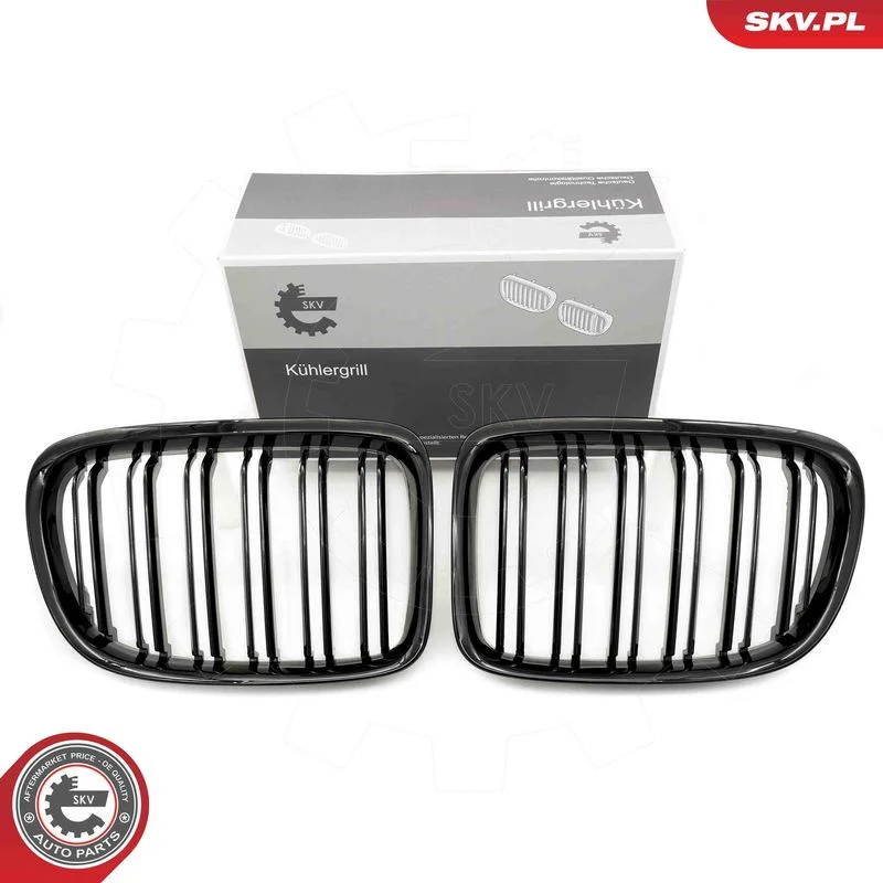 Grelha do radiador ESEN SKV 66SKV233