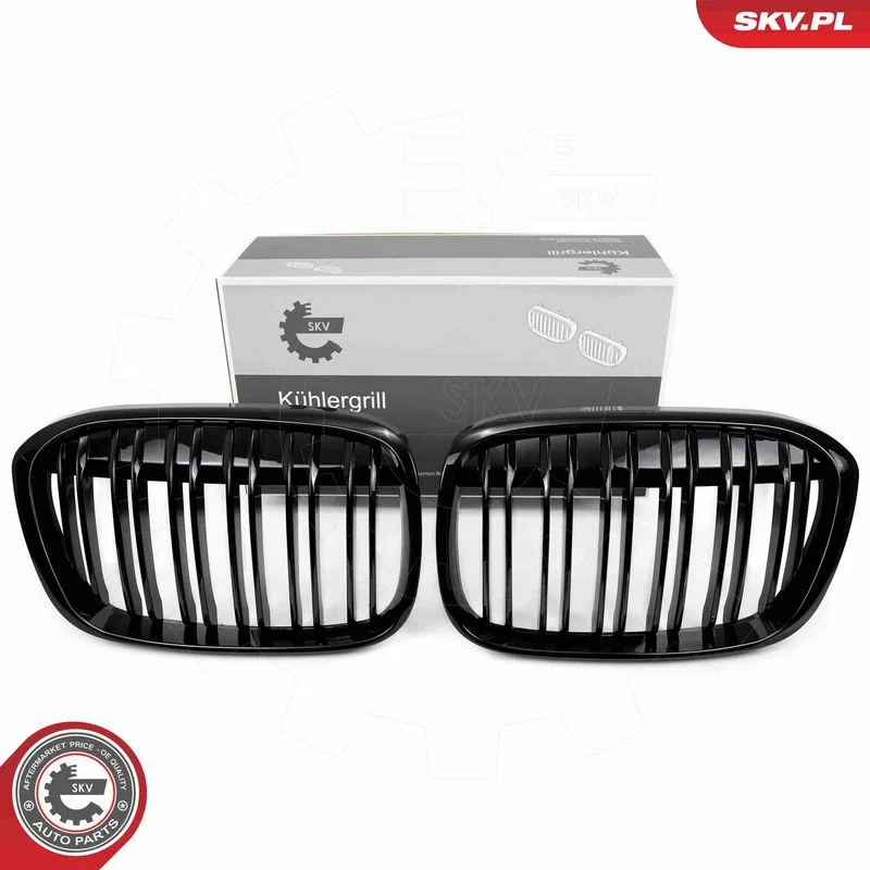 Grelha do radiador ESEN SKV 66SKV240