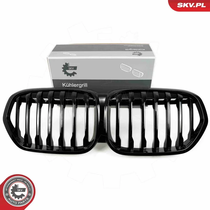 Grelha do radiador ESEN SKV 66SKV242