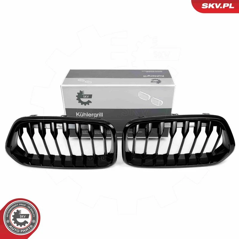 Grelha do radiador ESEN SKV 66SKV245