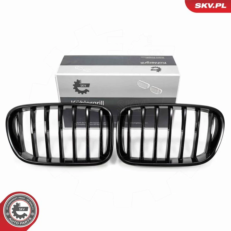 Grelha do radiador ESEN SKV 66SKV248