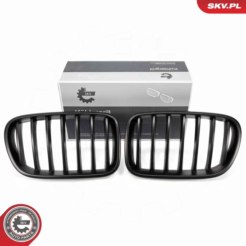 Grelha do radiador ESEN SKV 66SKV249
