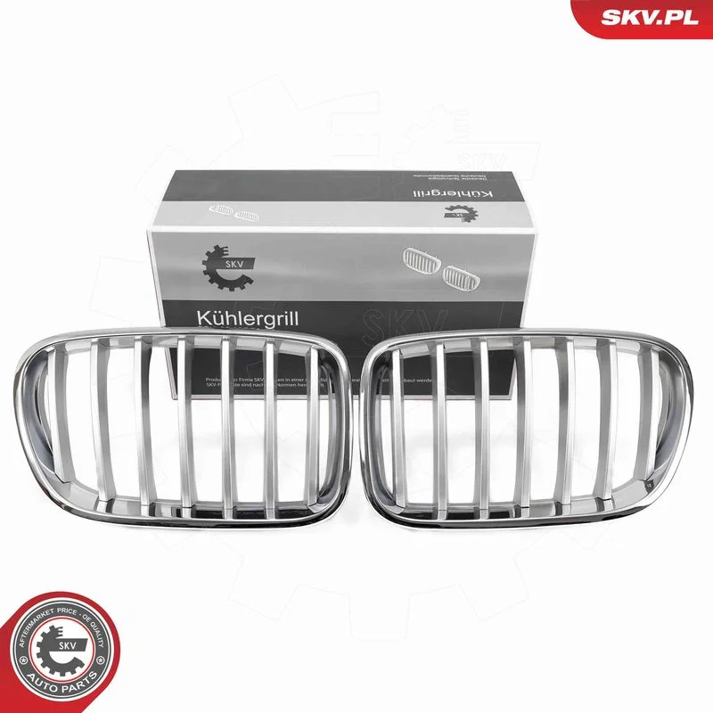 Grelha do radiador ESEN SKV 66SKV251