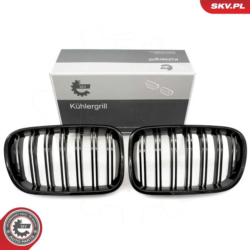 Radiator Grille ESEN SKV 66SKV252