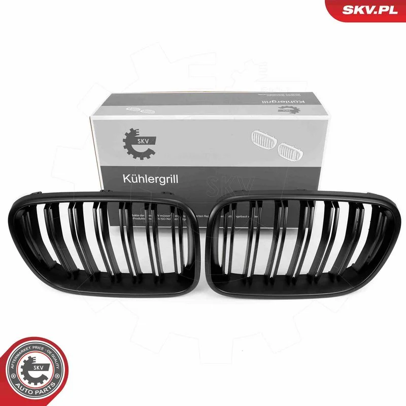 Grelha do radiador ESEN SKV 66SKV253