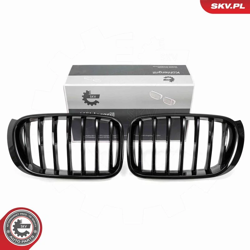 Grelha do radiador ESEN SKV 66SKV254