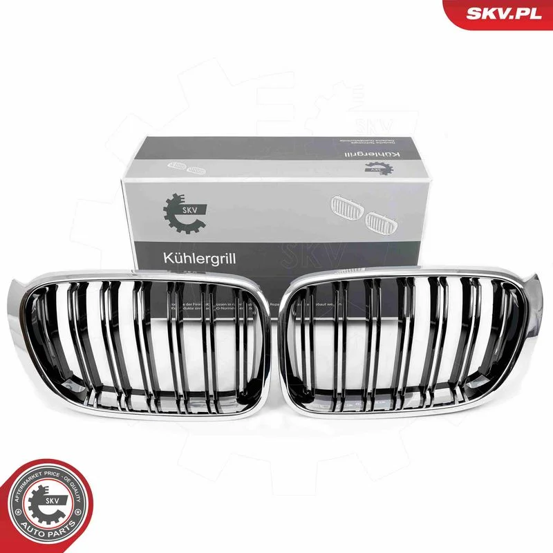 Grelha do radiador ESEN SKV 66SKV256