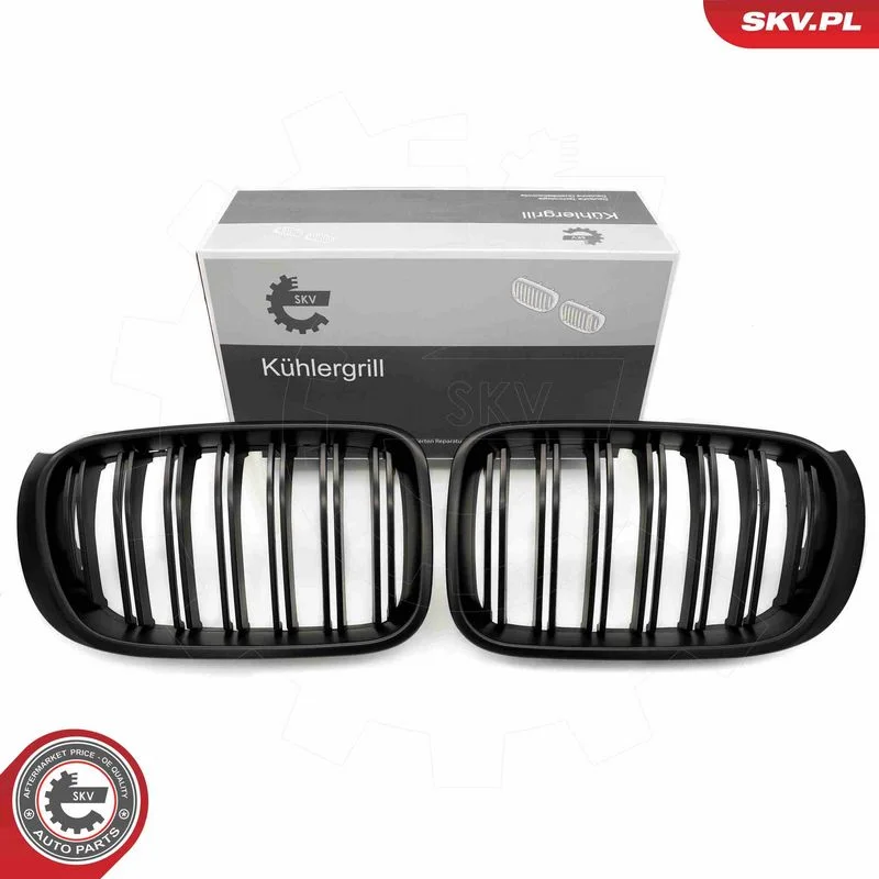 Grelha do radiador ESEN SKV 66SKV257