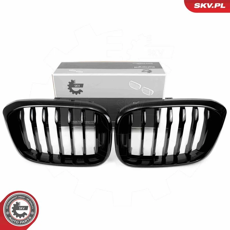 Grelha do radiador ESEN SKV 66SKV260