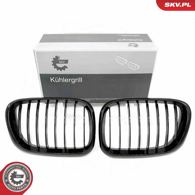 Grelha do radiador ESEN SKV 66SKV270