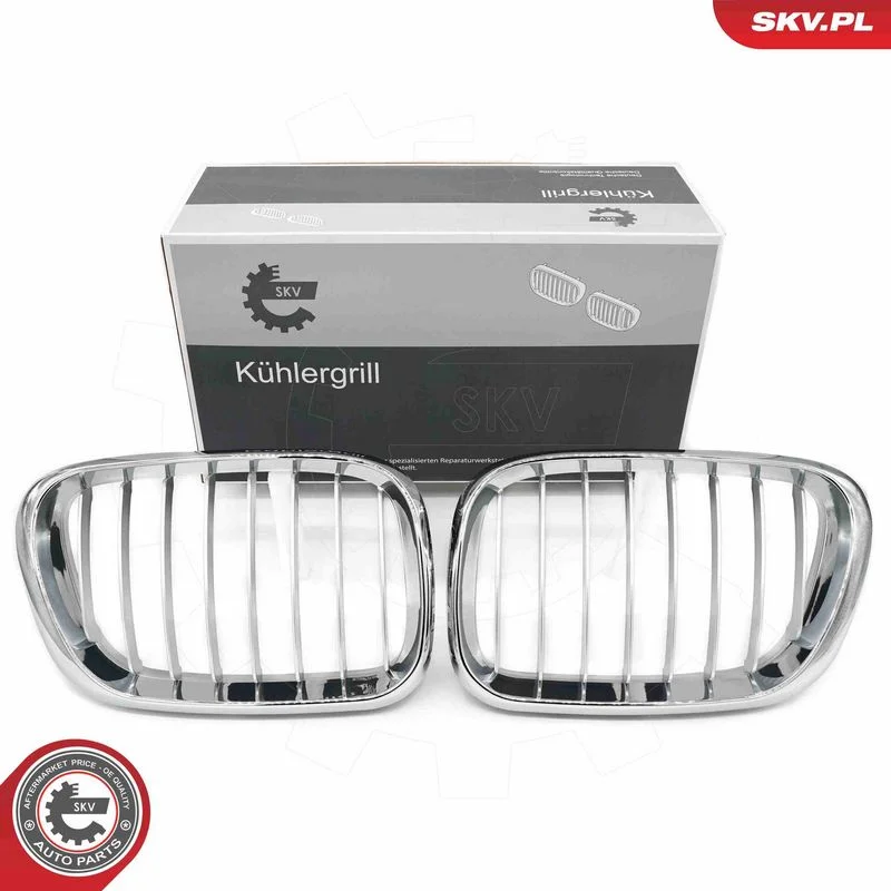 Grelha do radiador ESEN SKV 66SKV272