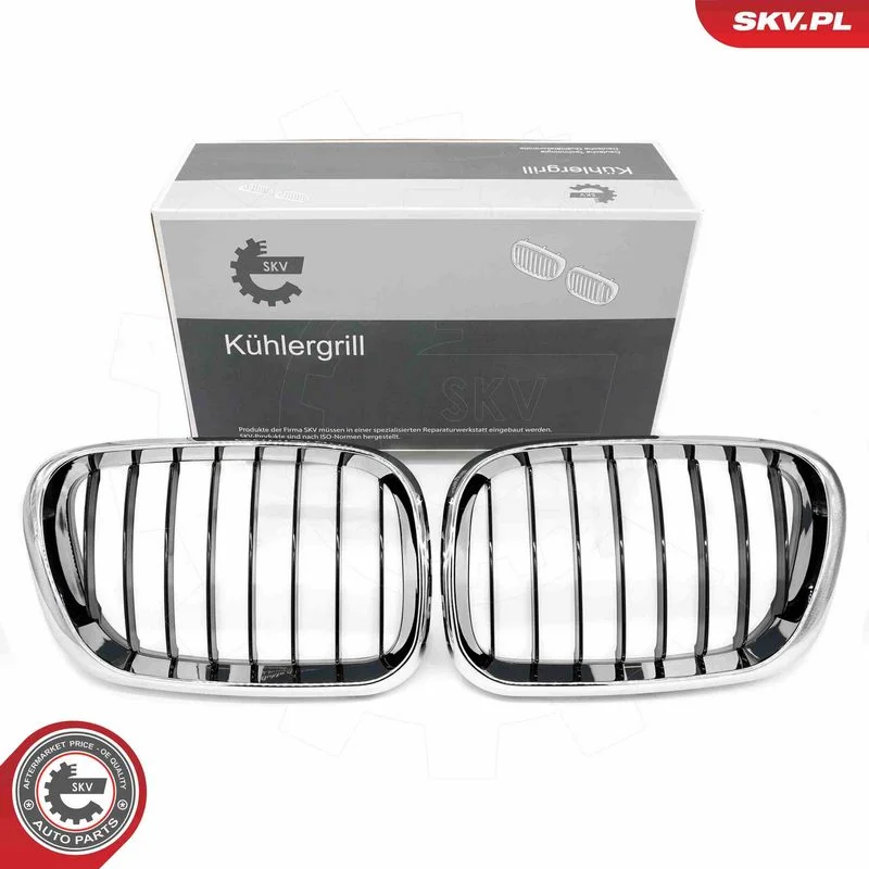 Grelha do radiador ESEN SKV 66SKV273