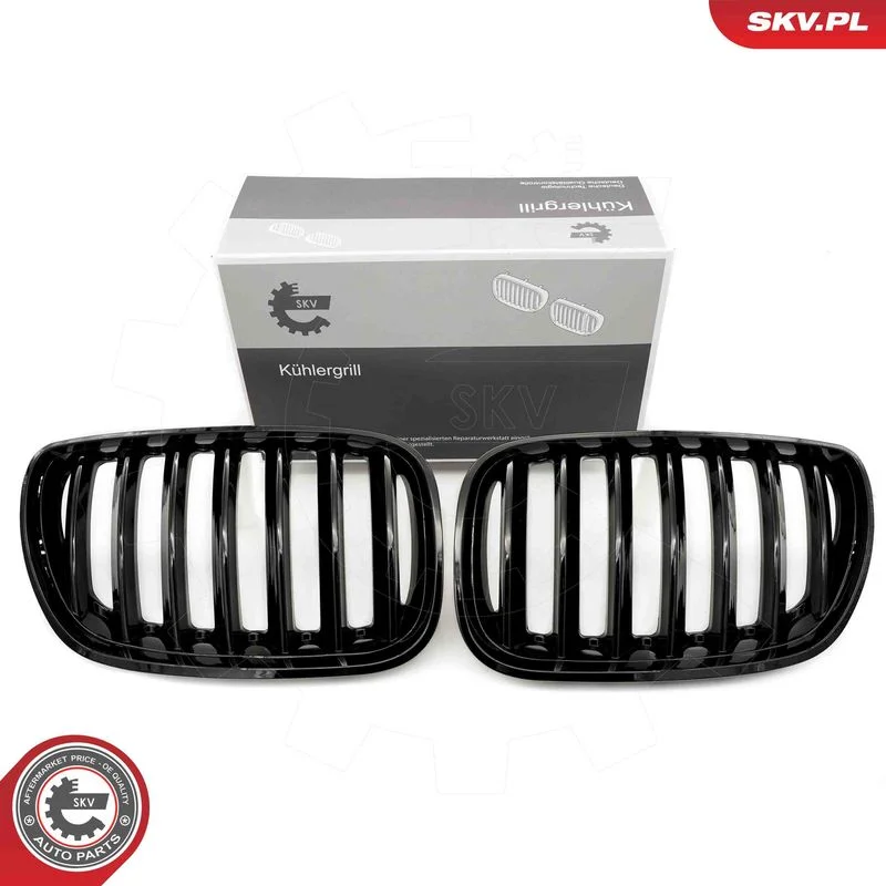 Grelha do radiador ESEN SKV 66SKV276