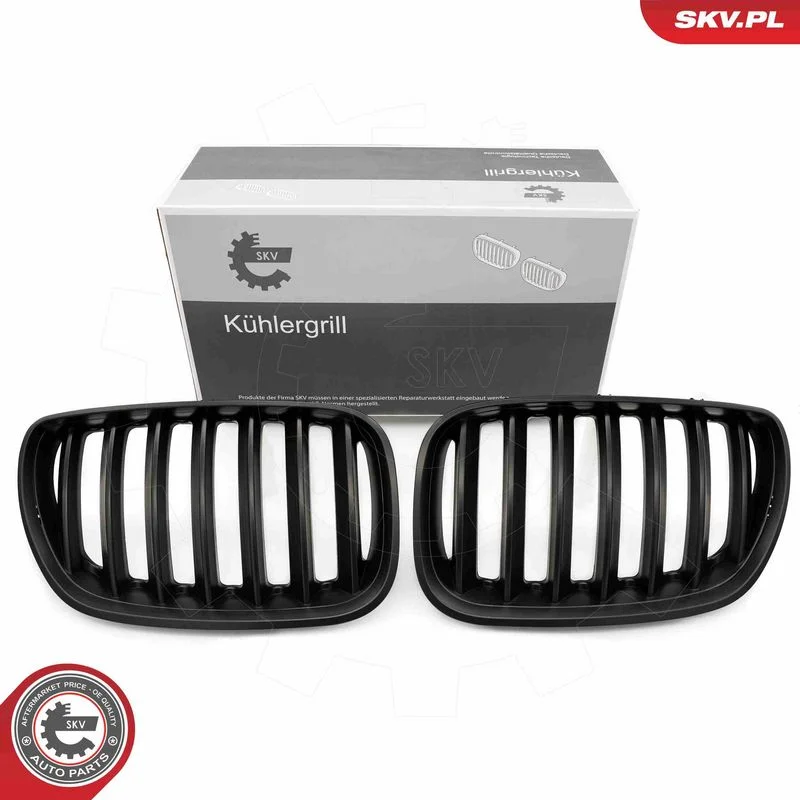 Grelha do radiador ESEN SKV 66SKV278