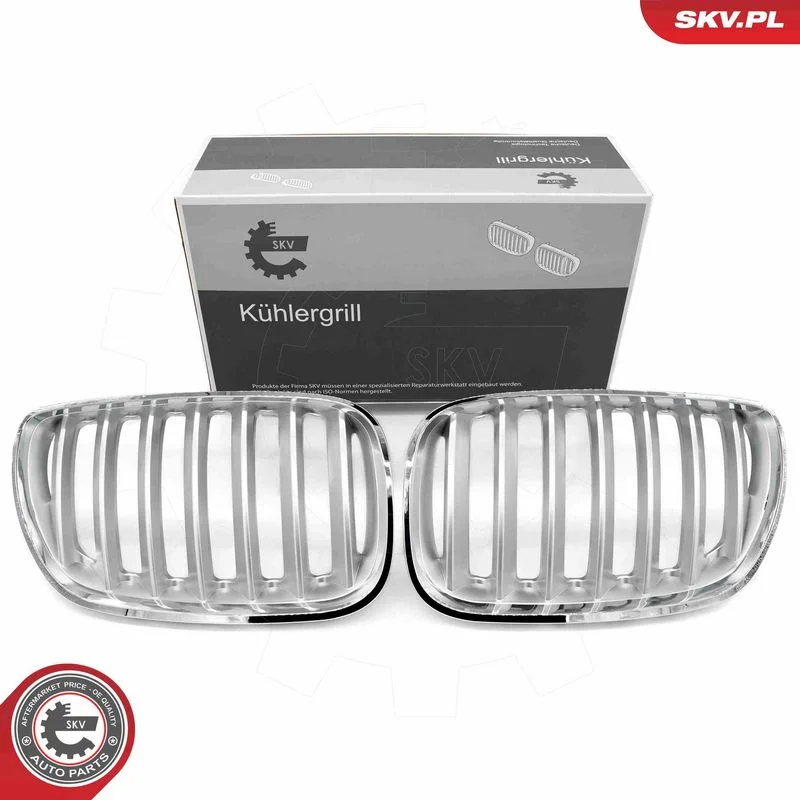 Grelha do radiador ESEN SKV 66SKV279