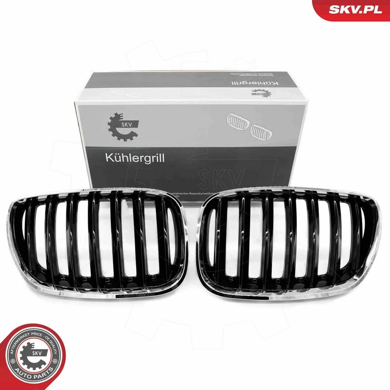 Radiator Grille ESEN SKV 66SKV280