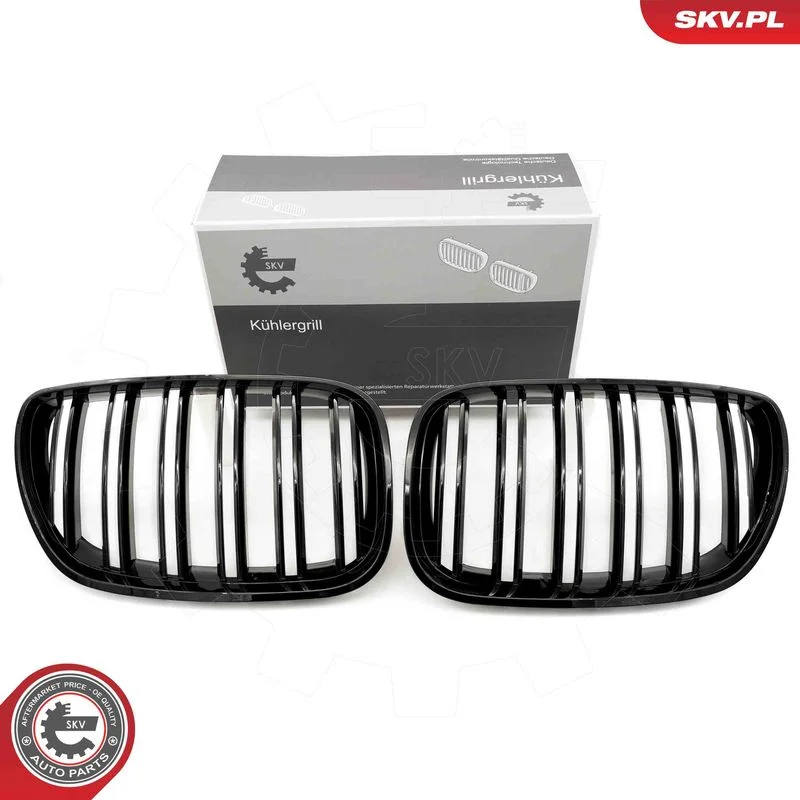 Grelha do radiador ESEN SKV 66SKV281