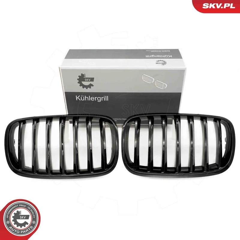 Grelha do radiador ESEN SKV 66SKV282
