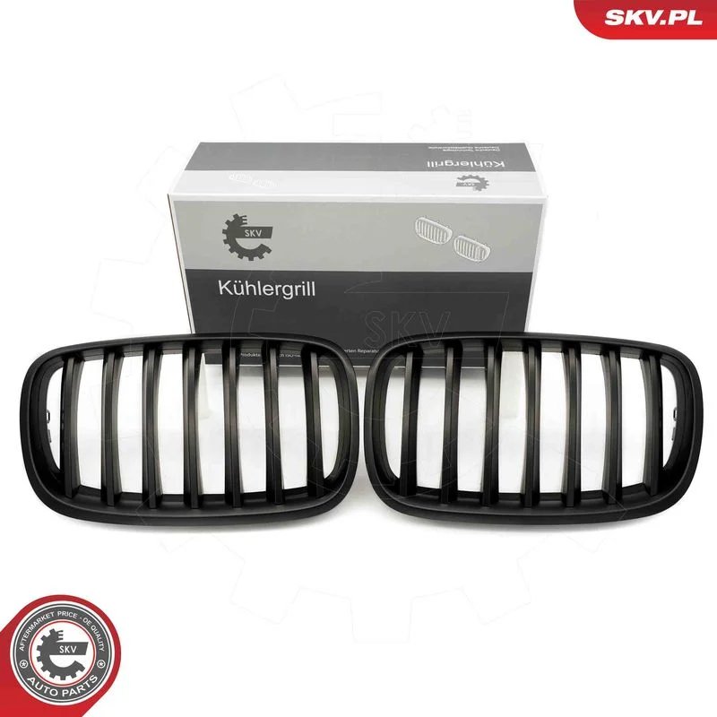 Radiator Grille ESEN SKV 66SKV284