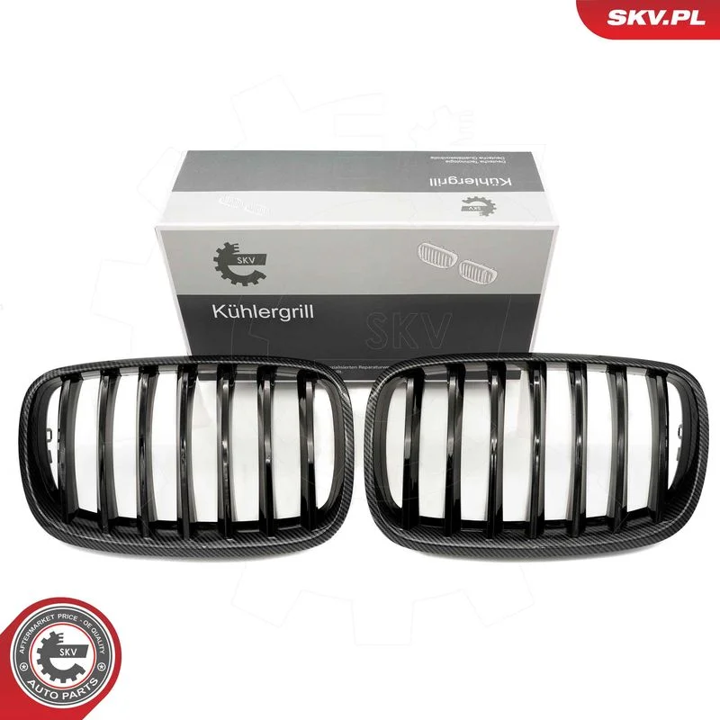 Grelha do radiador ESEN SKV 66SKV286