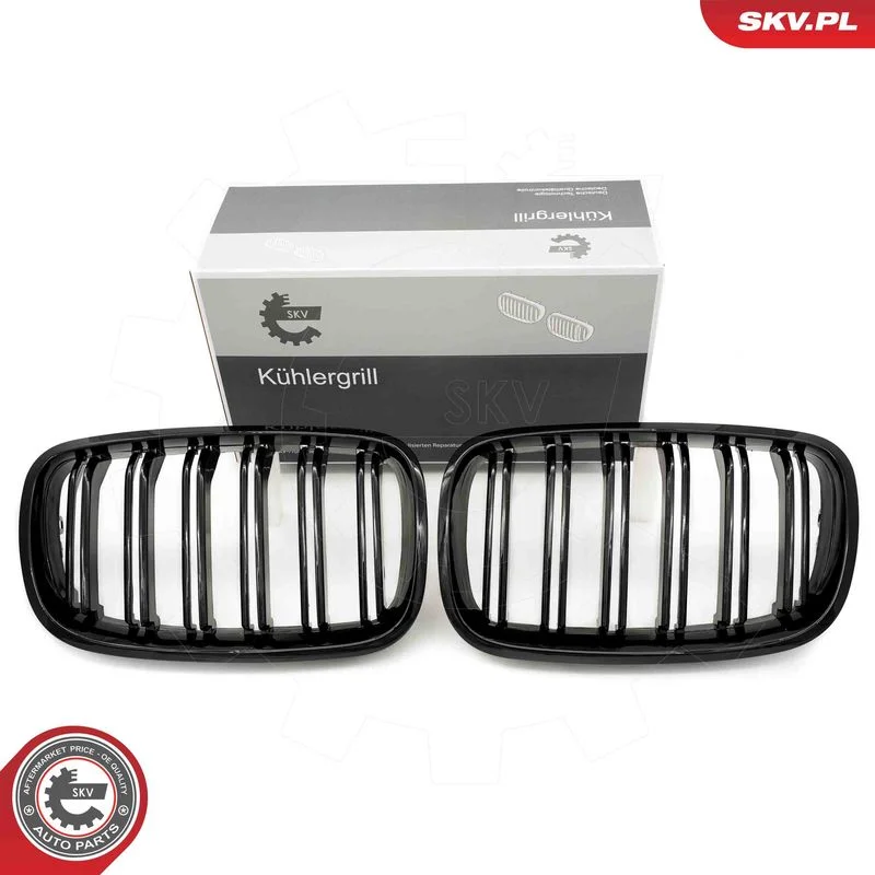 Radiator Grille ESEN SKV 66SKV287