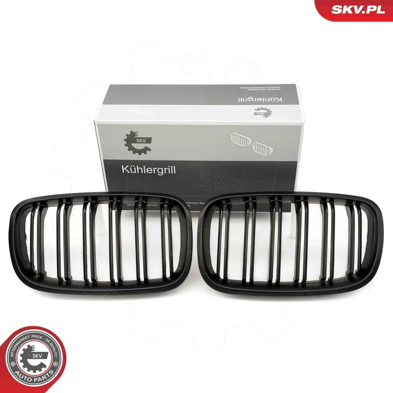 Radiator Grille ESEN SKV 66SKV288