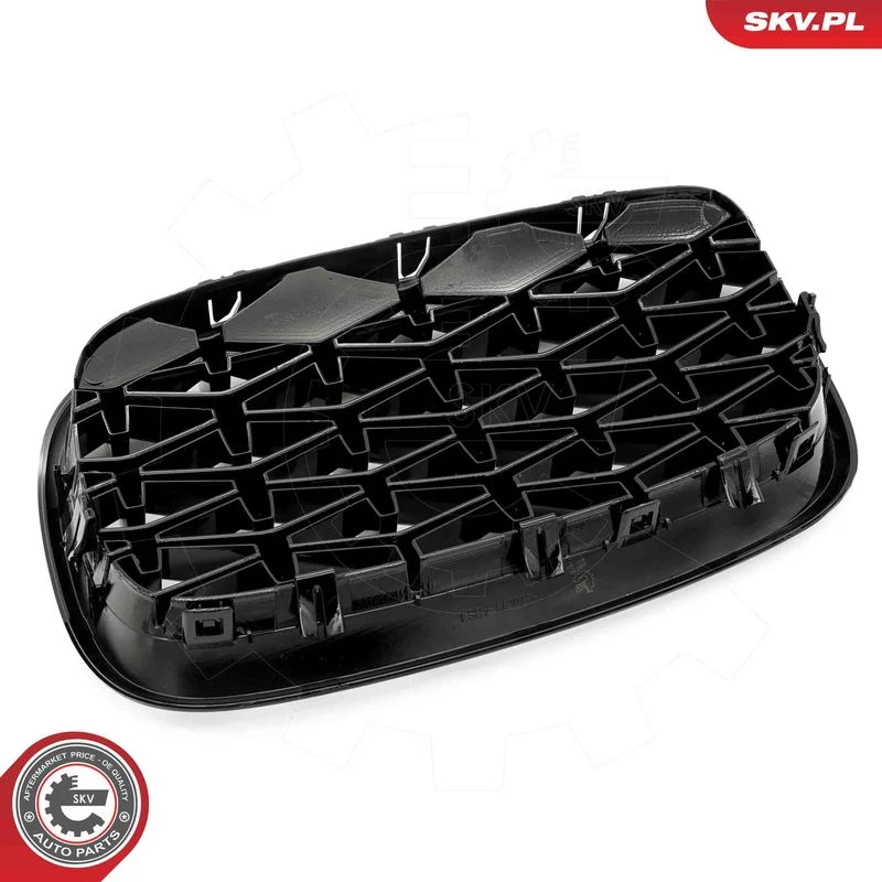 Grelha do radiador ESEN SKV 66SKV291