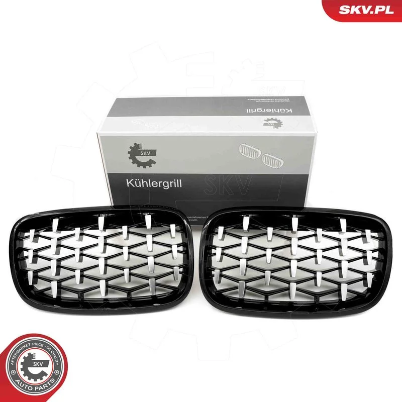 Grelha do radiador ESEN SKV 66SKV292