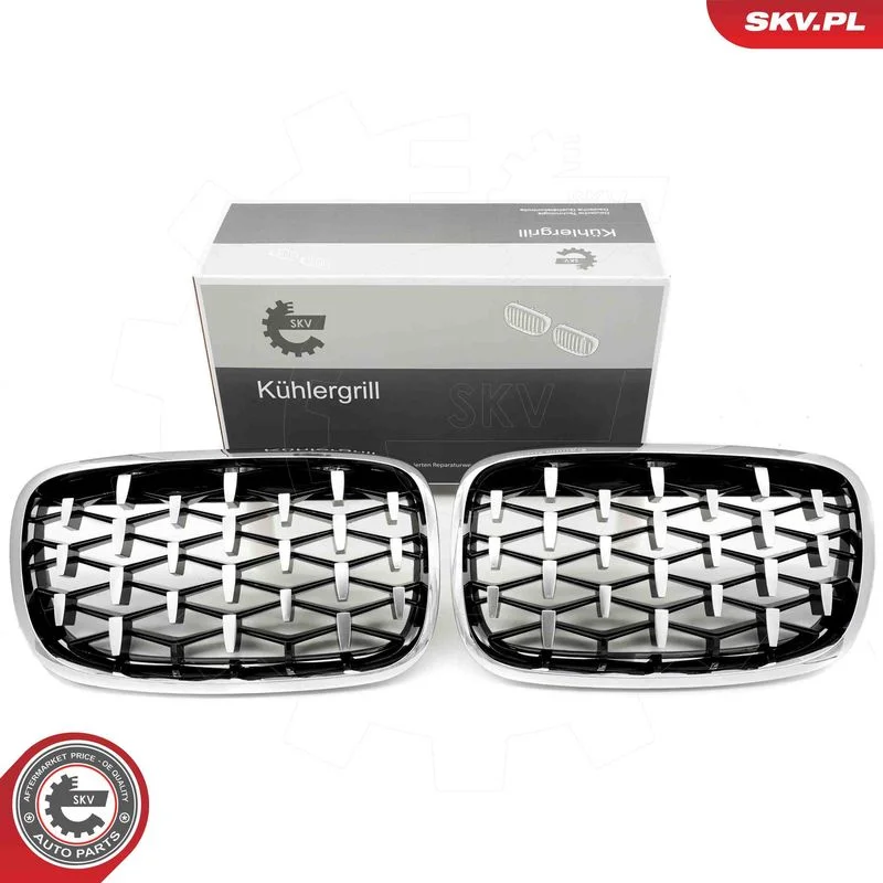 Grelha do radiador ESEN SKV 66SKV293